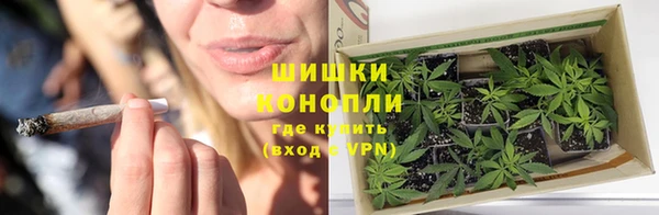 стафф Белокуриха