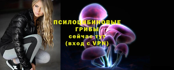 стафф Белокуриха