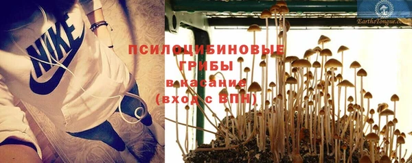 стафф Белокуриха