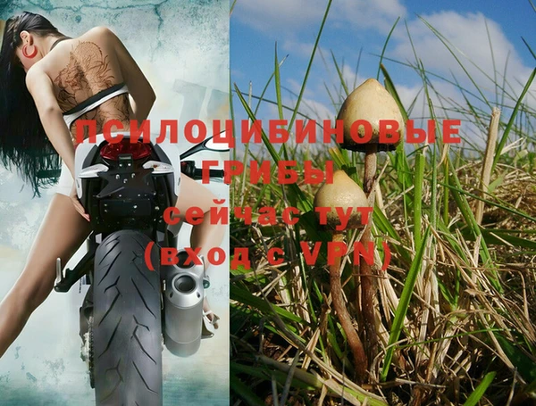 а пвп мука Слюдянка