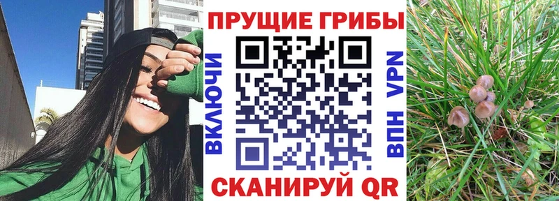 магазин продажи   Гаврилов-Ям  Псилоцибиновые грибы Magic Shrooms 