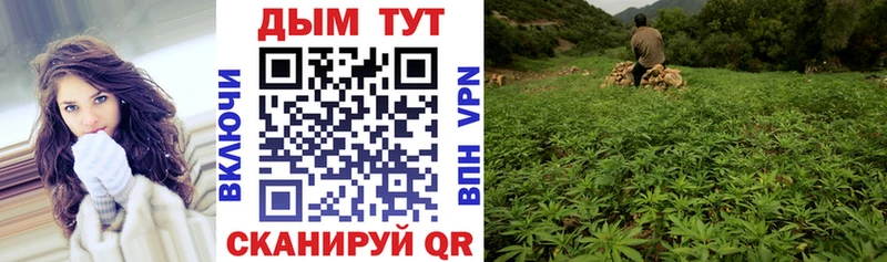 Каннабис SATIVA & INDICA Гаврилов-Ям